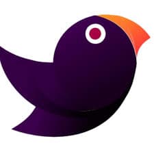 Drongo Technology Limited